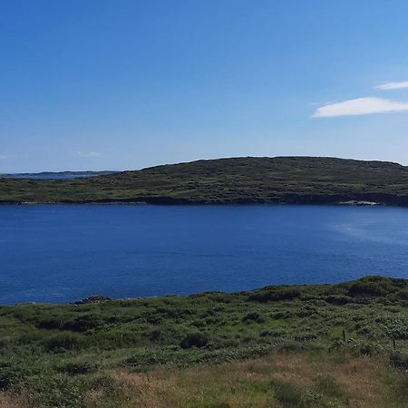 Conneelys Cottage, Connemara, Clifden, H71Y096 Eksteriør bilde
